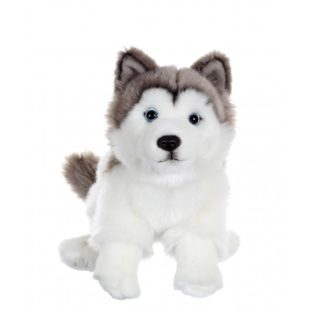 Floppy dog sitting Husky - 25 cm